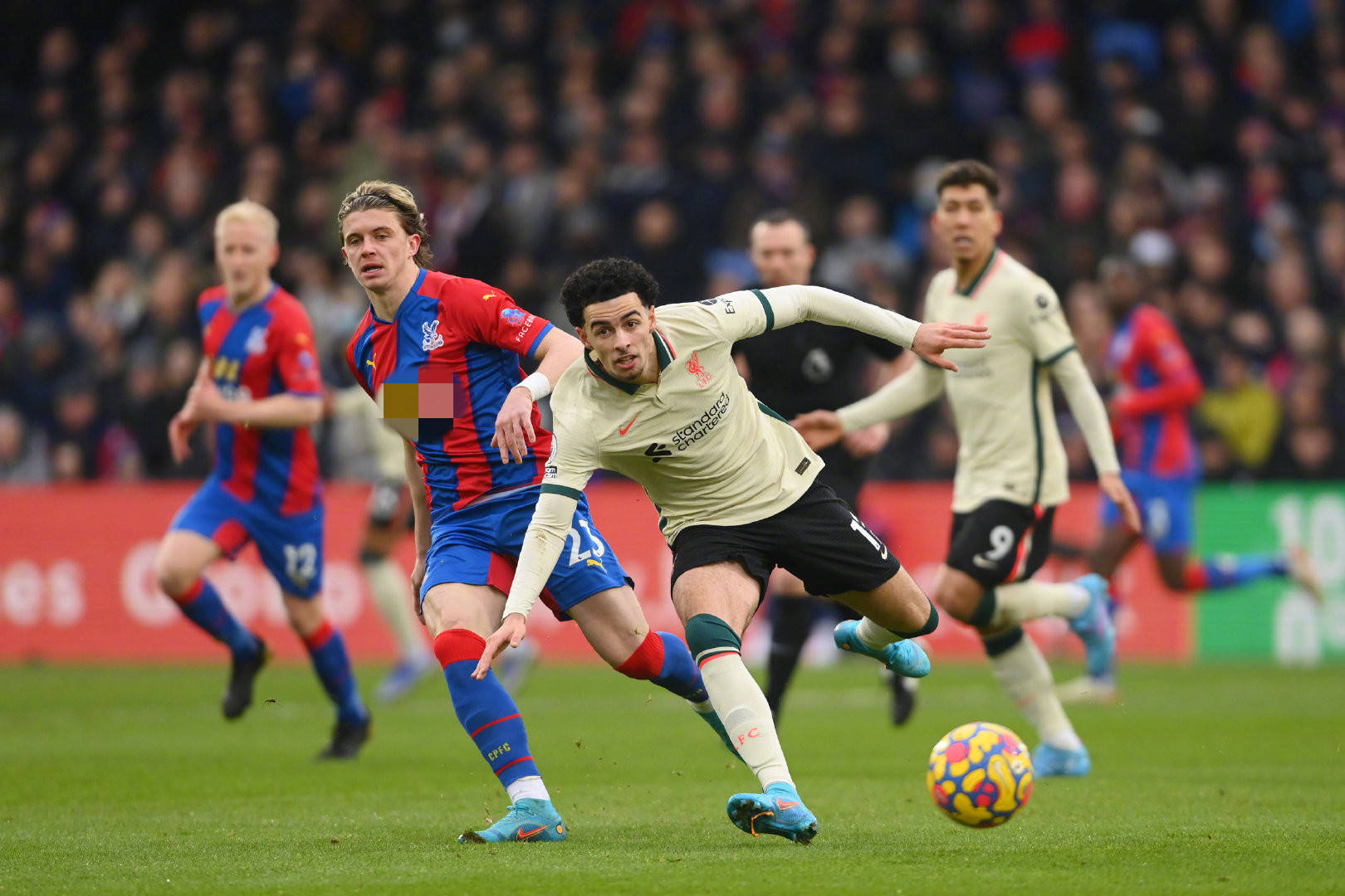 写了日本球 写了日本球